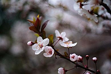 《越来越黑暗》更新发布 PvE专用冒险模式上线